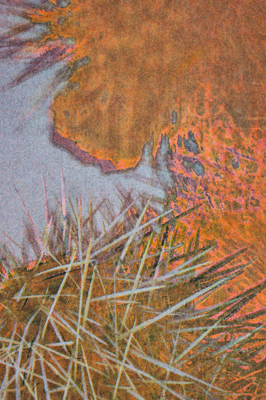Park series: Cholla (Risograph Print)