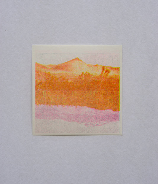 Park series: Landscape (Risograph Print)