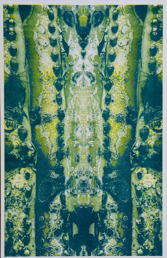 Park series: Saguaro (Risograph Print)