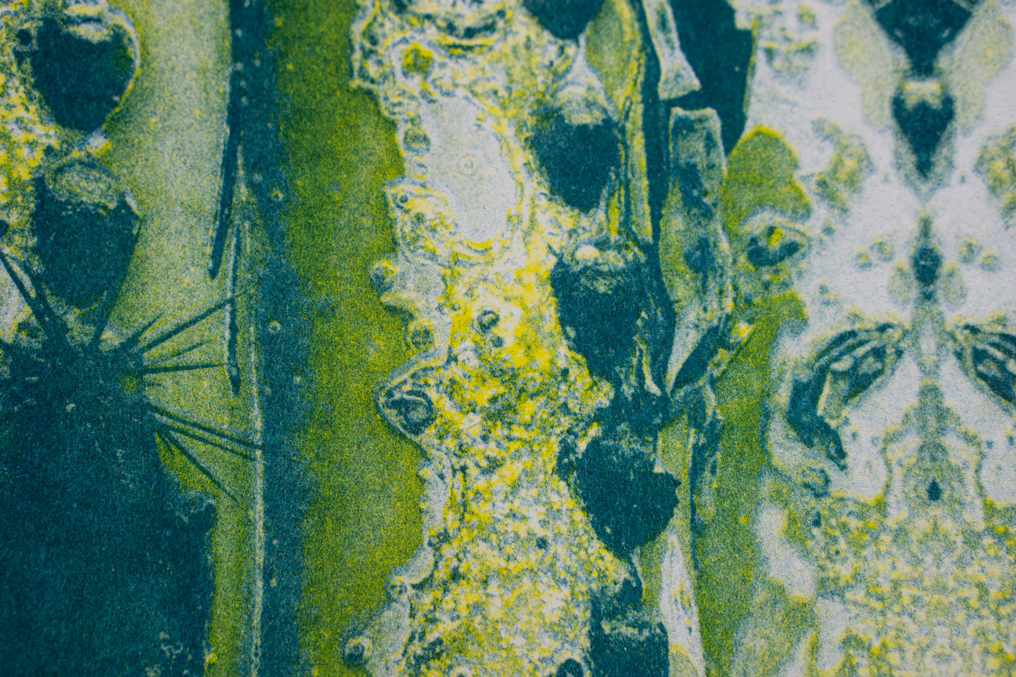 Park series: Saguaro (Risograph Print)