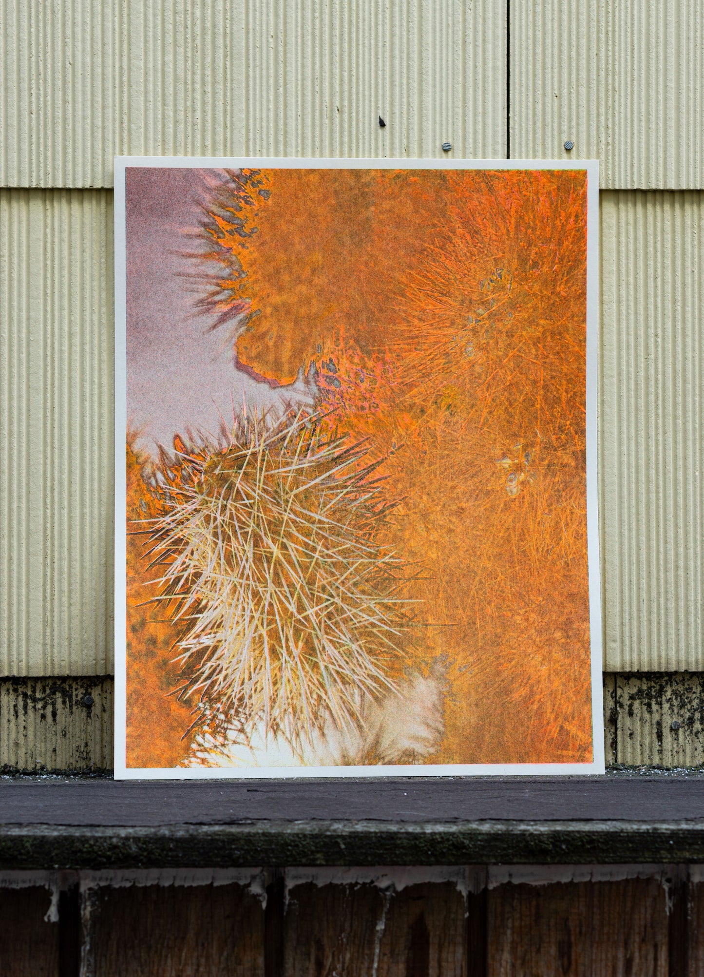 Park series: Cholla (Risograph Print)