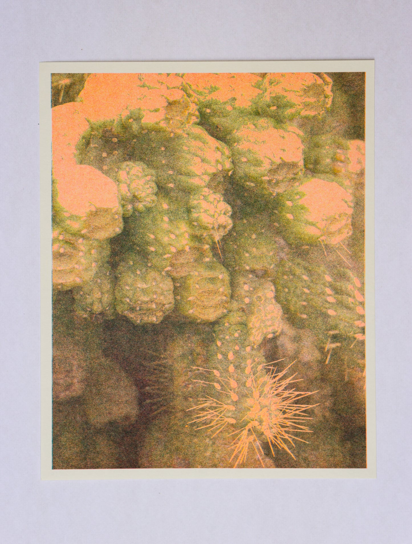 Park series: Growth (Risograph Print)