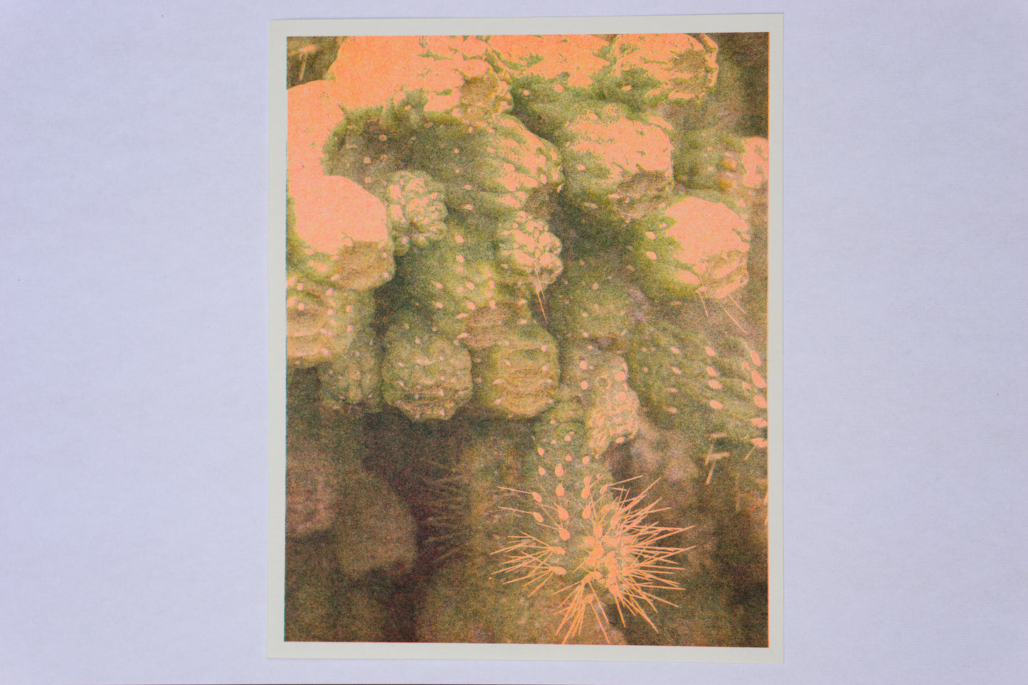 Park series: Growth (Risograph Print)