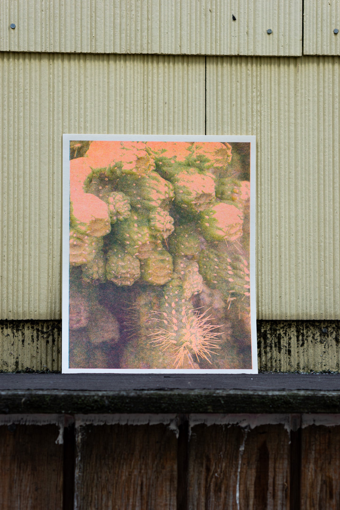 Park series: Growth (Risograph Print)