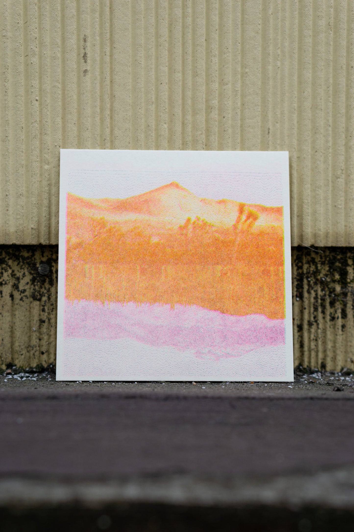 Park series: Landscape (Risograph Print)