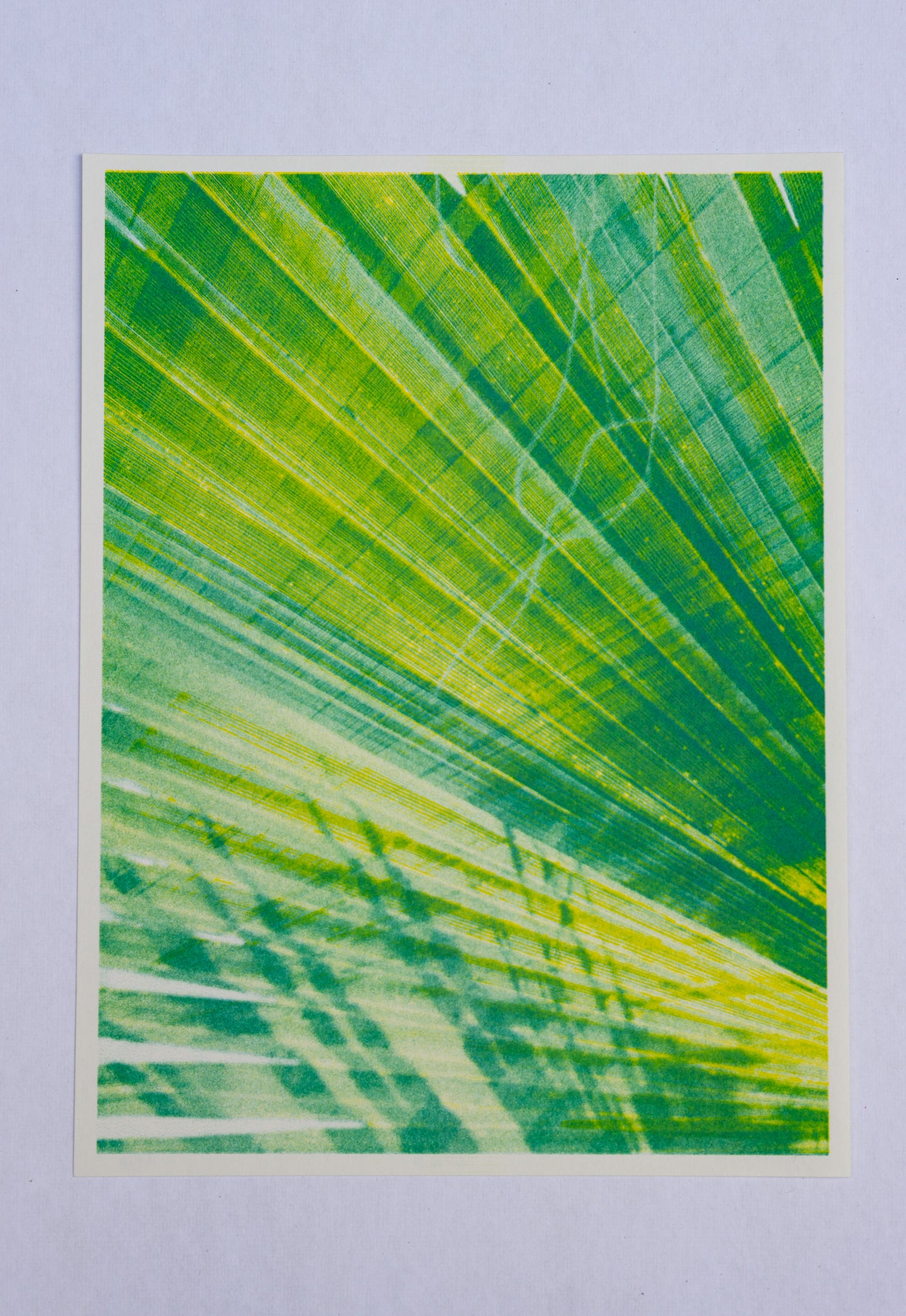Park series: Palm (Risograph Print)