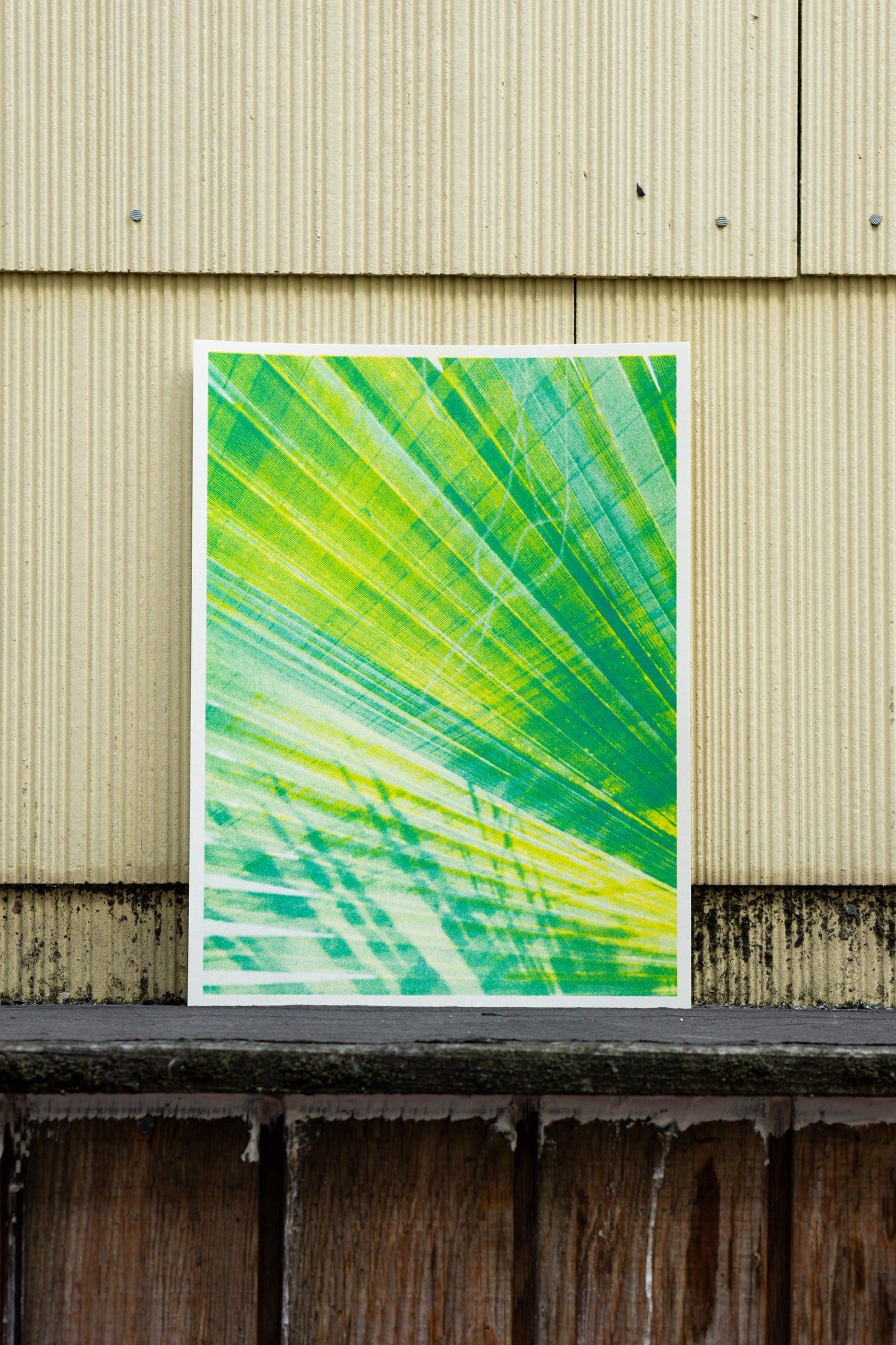 Park series: Palm (Risograph Print)