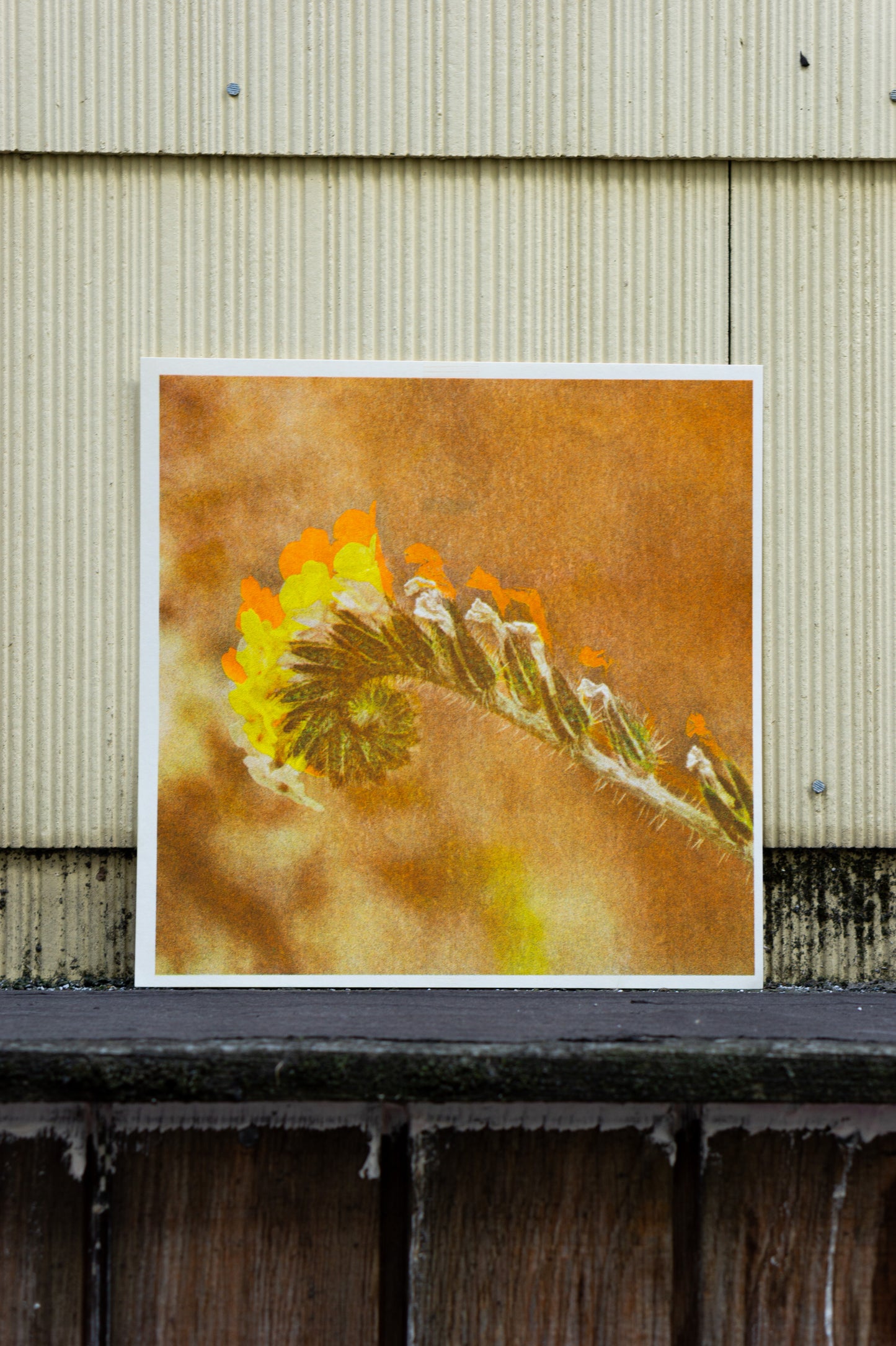 Park series: Unfolding (Risograph Print)
